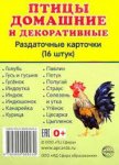 Дем.карточки А7 Птицы домашние и декоративные  16 разд.карт