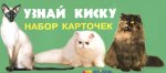 Набор карточек Узнай киску Таблица умн. Искатель