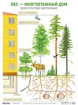 Плакат развив. по экологии Лес- многоэтажный дом Мозаика
