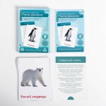 Обучающие карточки по мет Домана Животные северного и южного полюсов в/к 