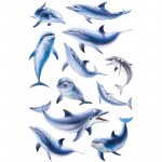 Наклейка объемная 16*9см ассорти