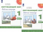 Плешаков АА Новицкая МЮ  1 кл рабочая тетрадь 1,2 ч  Окружающий мир Перспектива 