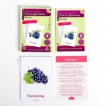 Обучающие карточки по мет Домана Ягоды в/к