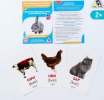 Обучающие карточки по мет Домана Дом жив и птицы на ан яз в/п 