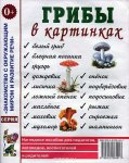 Наглядное пособие Грибы в картинках 