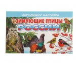 Обучающие карточки Зимующие птицы России