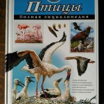 Полная энциклопедия Птицы