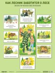 Плакат развив. по экологии Как лесник заботится о лесе Мозаика