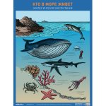 Плакат развив. по экологии Кто в море живет Мозаика