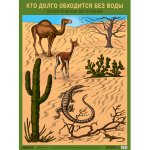 Плакат развив. по экологии Кто долго обходится без воды Мозаика