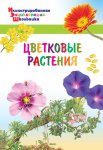 Цветковые растения Энциклопедия Вако