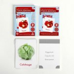 Обучающие карточки по мет Домана Овощи на ан яз в/к