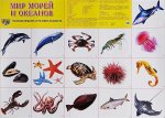 Плакат А-2 Сфера Мир морей