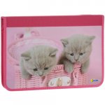 Папка д/труда  А-4 Котята в корзине 215