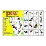 Дем.карточки  Птицы разных широт 16 разд.карт