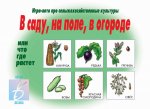 Игра В саду,на поле,в огороде