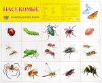 Плакат А-2 Сфера Насекомые