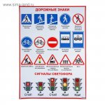Плакат  Обучающий "Дорожные знаки, Сигналы светофора", 69х50