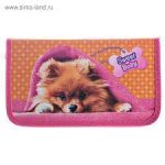 Пенал 1отд. Рыжая собака с бантом