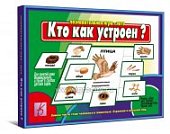 Игра Кто как устроен? 