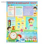 Плакат  Окружающий мир. 595*450