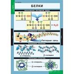 Плакат Химия 8-9 класс