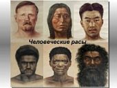 Плакат  Человеческие расы.