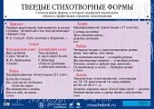 Плакат  Зинина Твердые стихотворн.формы