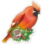 Плакат вырубной А-4 в ассорт Клест Свиристель