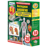 ИГК НАГЛЯДНАЯ БИОЛОГИЯ. РАСТЕНИЕ-ЖИВОЙ ОРГАНИЗМ. У