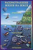 Плакат  Распрост-ие жизни на Земле.Айрис