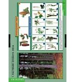 Плакат Растения и окруж.среда. Метод.пособие Спектр