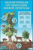 Плакат  Экосистемная организация живой природы (Ай