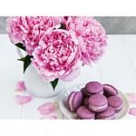 Картина по номерам на холсте с подрамником Макаруны и цветы, 40 х 30 см