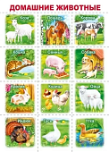 Мини - плакат А4  Домашние животные.
