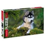 Пазл 500 Любимец