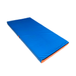 Мат гимнастический 200х100х10 цветной.иск.кожа