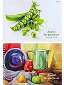 Альбом для рисования 20 листов А4 Изящный натюрморт на гребне