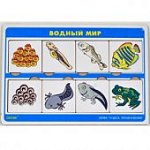 Чудеса преображения Водный мир