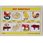 Чудеса преображения Мир животных