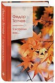 Тютчев Я встретил вас Стихотворения 