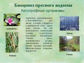 Плакат  Биоценоз пресноводного водоема.Айрис